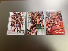 RIZIN ポテトスティック まとめ売り