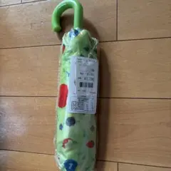 Item thumbnail for item ca97ac85-de76-47ed-8ac1-e8ffb0afea27