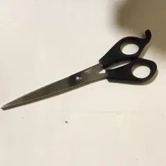 Item thumbnail for item 889508c0-70cd-4c40-9f51-fbf22aa93718