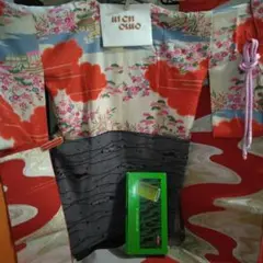 Item thumbnail for item 09dce80c-2ba2-46d1-9600-0008688ed822