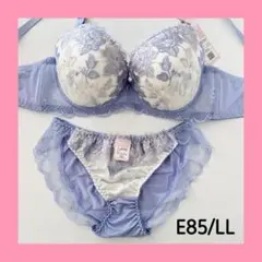 【♡/ラス1】10370EFBU E85/LL ブラショーツセット