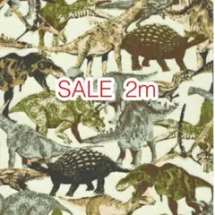 SALE 2m ダイナソー グリーン オックス
