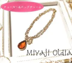 送料込【ハンドメイド】概念チョーカー&バッグチャーム【薄茶】(aknkミヤジ)