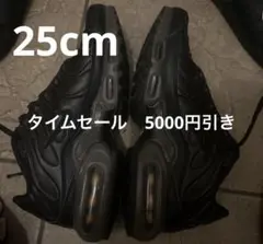 Nike エアマックスプラスプレミアム
