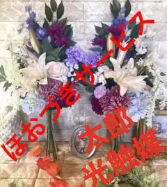 未使用品】 【メルカリ便】多肉植物 サボテン相談室 君臨王の王妃