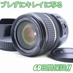 Item thumbnail for item 69405a06-9a04-4f01-ad19-b7f0086e7acb