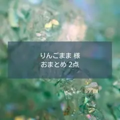 りんごまま様 リクエスト 2点 まとめ商品