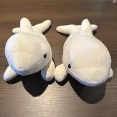 名古屋港 水族館　シャチくじ アルビノ　白いシャチ　２個セット