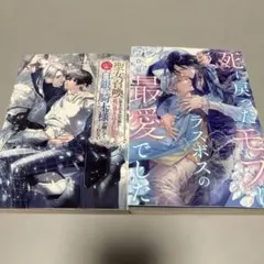 BL小説　2冊セット