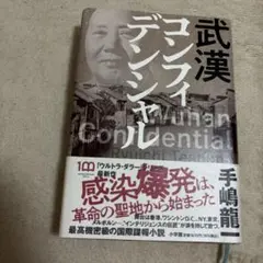 武漢コンフィデンシャル