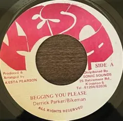 人気曲!!BIGGING YOU PLEASE/D.PARKERu0026BIKEMAN