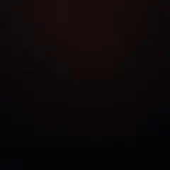 Item thumbnail for item dc031f68-77ba-4341-a410-4ed443208124
