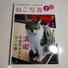 ねこ写真 2