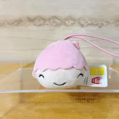 サンリオキャラクターズ × もにまるず 表情ころころプチマスコット キキララ