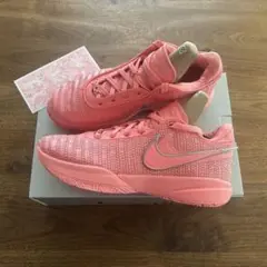 【新品】Nike LeBron20 "Pink Diamond" EP 26cm