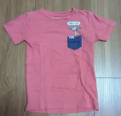 Item thumbnail for item acb6bfd9-545c-40fa-81db-795355ff88ee