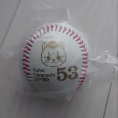 巨人 読売ジャイアンツ 高梨雄平誕生祭 たかにゃし チャレンジ2025
