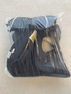 Item thumbnail for item b6f2ff77-04ba-4ce8-b9c0-3886638719f4