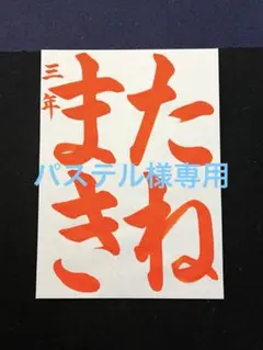 専用　習字手本2枚