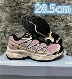 Sandy Liang x Salomon XT-6 Expanse28.5cm