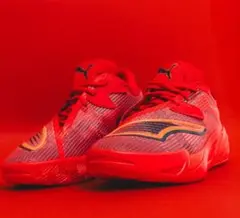 puma all pro nitro2