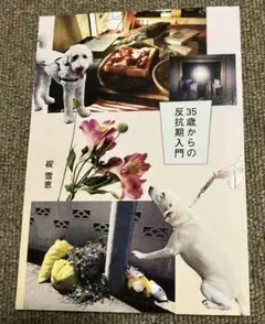 碇 雪恵　35歳からの反抗期入門