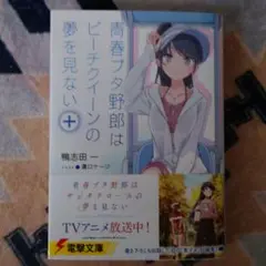 青春ブタ野郎はビーチクイーンの夢を見ない+