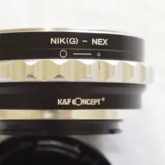 Item thumbnail for item 03470e99-9f74-404c-8199-97cd343e700d