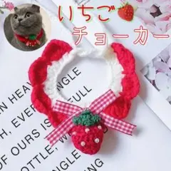 Mサイズ いちご チョーカー 首輪 ペット用品 ペットグッズ 話題 可愛い 人気