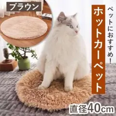 Item thumbnail for item 2c8fc2e3-28fd-46f9-8644-0e4e1a303678