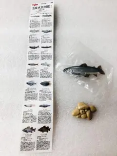 未使用　ユージン　原色淡水魚図鑑Ⅰ　【改訂版】　ニジマス　フィギュア