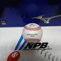 オリックスバファローズDm Mix公式球
公式試合球です