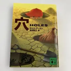 穴　holes ルイス・サッカー