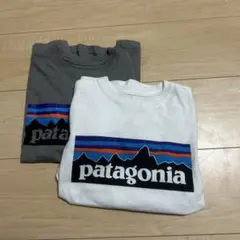 パタゴニア 長袖Tシャツ2枚セット