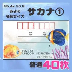 【サカナ①】宛名シール　差出人シール　普通サイズ　40枚　シンプル　海　魚