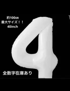 Item thumbnail for item 1ebe39f1-42f0-444d-b57d-e30b1f19e467