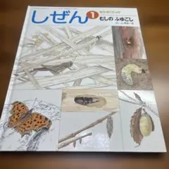 キンダーブック12巻セット