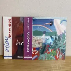 マカロニえんぴつ　レコード　LP