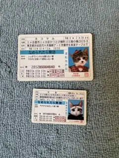 【送料無料】ネコマル 又吉 免許証