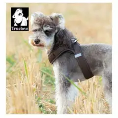 Item thumbnail for item cba7dc92-03be-4311-9489-1e415793e851