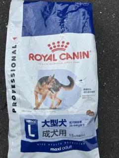 Item thumbnail for item 2822beec-a5f4-4eb9-806b-a647fc045fd5