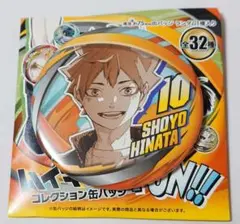 ハイキュー!!ファンパーク コレクション缶バッジ 日向翔陽