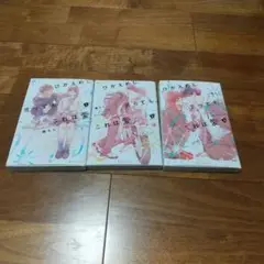 ひかえめに言ってもこれは愛 3巻セット