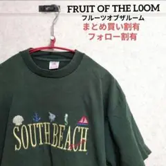 フルーツオブザルーム 90s シングルステッチ Tシャツ