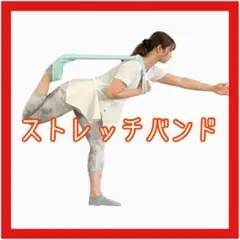 トレーニングチューブ シェイプアップ エクササイズバンド ストレッチ ゴムバンド