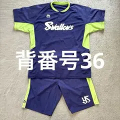 廣岡大志　実使用ユニフォーム 2019年 上下セット 東京ヤクルトスワローズ 廣岡大志 実使用ユニフォーム 2019年 上下セット 東京ヤクルト