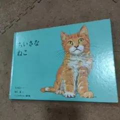 ちいさなねこ