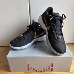 Item thumbnail for item f1ac502a-dba4-4e56-9f33-75bc9822e916