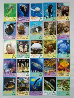 【匿名配送】鳥羽水族館　コレクションカード　コレカ　ノーマルカード　25枚セット