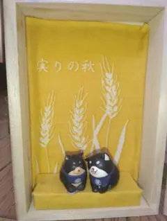 黒柴ボックス　麦